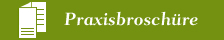 Praxisbrosch�re als PDF-Download